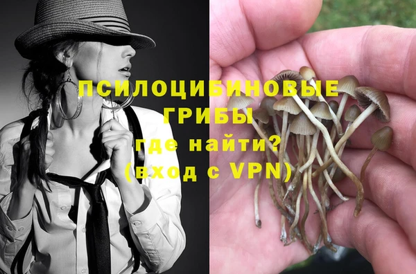 сатива Алзамай