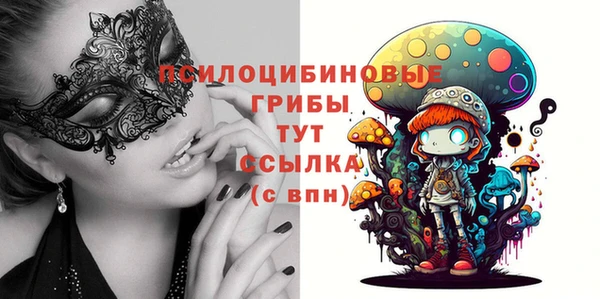 сатива Алзамай
