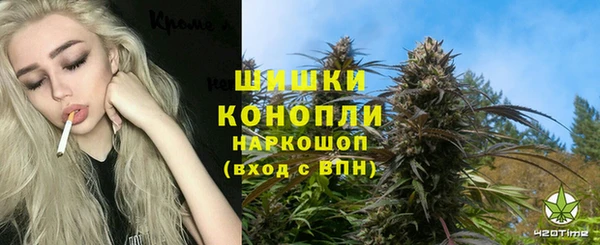 сатива Алзамай