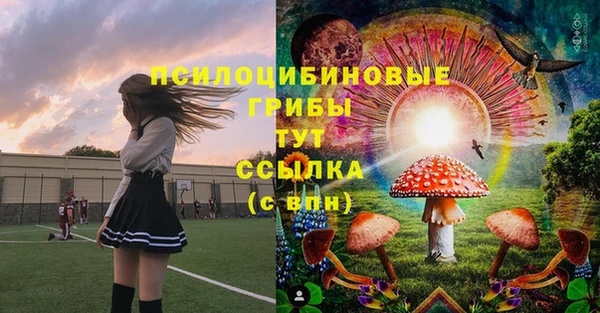 сатива Алзамай