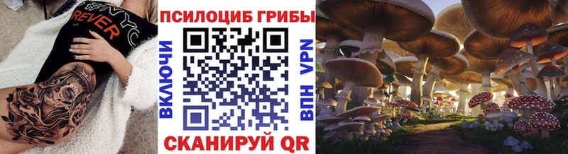 купить наркоту  Жуковка  Псилоцибиновые грибы Cubensis 